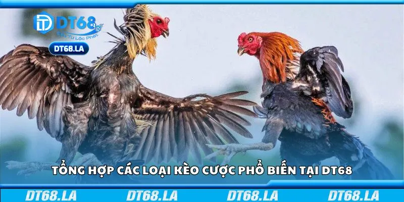 Tổng hợp các loại kèo cược phổ biến tại DT68